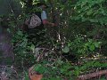 Polovnicke zdruzenie-Lipie   23